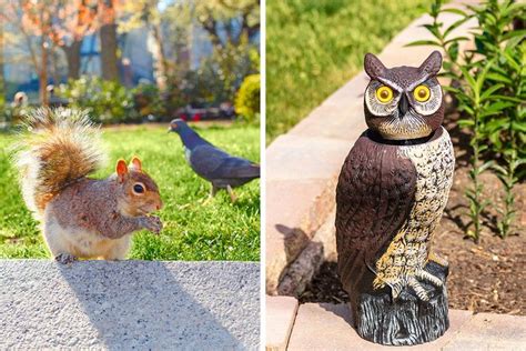 are birds afraid of fake owls